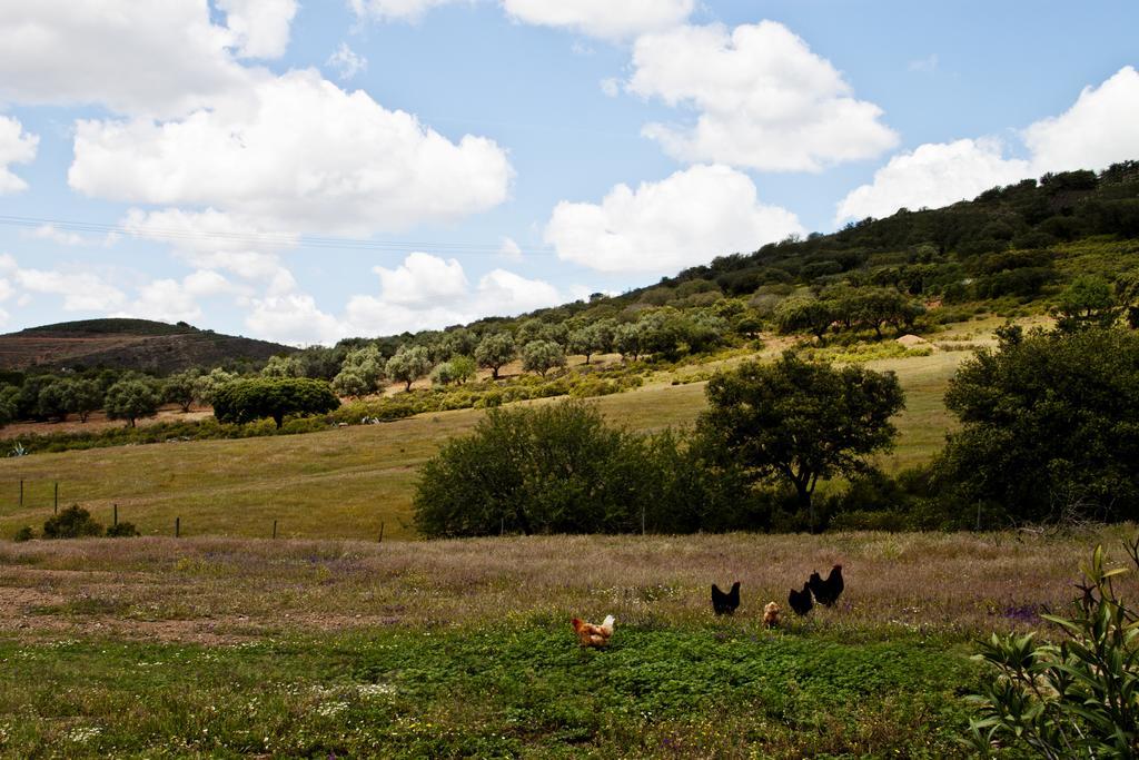 O Monte Do Alhinho - Turismo Rural Monte Costa 외부 사진